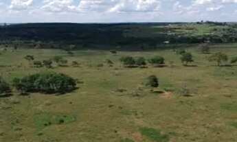 Imagem 7: Excelente sítio pra fazer loteamento de chácara