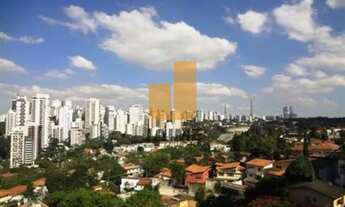Imagem 6: VISTA PARA O VALE DO PACAEMBU, TERRAÇÃO
