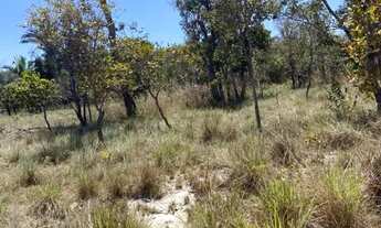 Imagem 7: Fazenda em Caxias do Maranhão