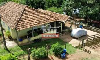 Imagem 3: Fazenda 36 Alqueires (174,24 Hectares) Catalao - GO