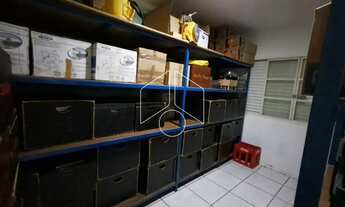 Imagem 4: Comercial GalpãoBarracão em Marília