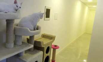 Imagem 7: WE - OPORTUNIDADE IMPERDIVEL A 70 M DA PRAIA, 3 DORMITÓTIOS 80M² COM UMA SUÍTE NA PRAIA DE