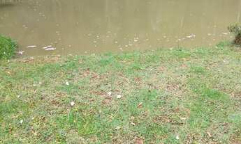 Imagem 7: Chacara do chafariz linda venha conferir