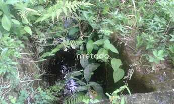 Imagem 2: Sítio à venda, 20000 m² por R$ 200.000,00 - Freguesia da Escada - Guararema/SP