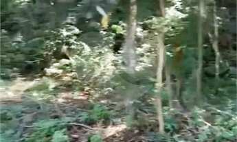 Imagem 5: Área de Terra à venda em Chácara Arantes - SP