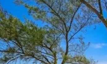 Imagem: Terreno em Arraial do Cabo