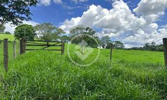 Imagem 5: Chácara próximo de Goiânia codigo: 141036