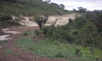 Imagem 3: Fazenda Totalmente Estruturada em Corumbá de Goiás (85ha)