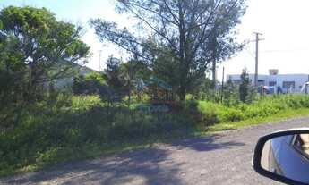 Imagem 6: Mariápolis-Rs - Terreno padrão - Mariápolis