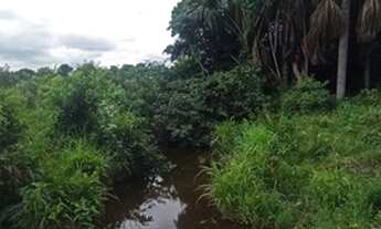 Imagem 2: Fazenda em 2 Irmãos Tocantins beira do asfalto terra cultura escriturada