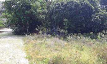 Imagem 4: Terreno, Itacimirim, Camaçari - R$ 1 mi, Cod: 67700