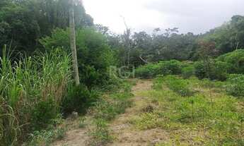 Imagem 6: Porto Alegre - Sítio - Belém Velho