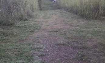 Imagem 6: Fazenda/Sítio/Chácara para venda possui 20000 metros quadrados com 3 quartos