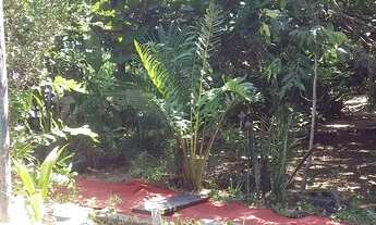 Imagem 5: Camping na lagoa de jacaroa marica