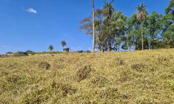 Imagem: Excelente chácara de 1.000m² em Mateus