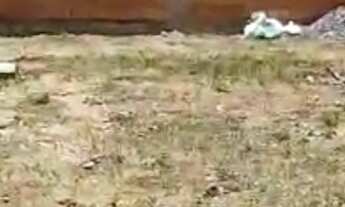 Imagem 7: Casa Térrea no alto de Coroa Vermelha