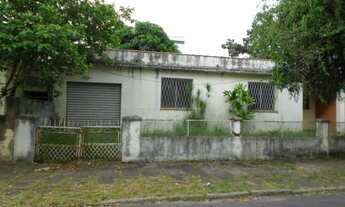 Imagem: Porto Alegre - Casa Padrão - Vila Ipiranga