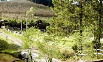 Imagem: Sítio em Angelina