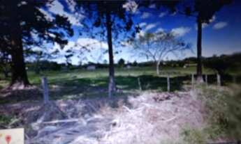 Imagem 2: Porto Alegre - Terreno Padrão - Lageado