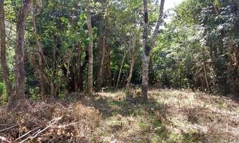 Imagem 5: Terreno Vilas Romanas