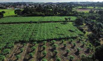 Imagem 4: Fazenda em Goiânia
