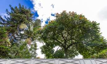 Imagem 4: Linda casa com 4 quartos, 1 suíte em Rua tranquila e arborizada no Morumbi - São Paulo - S