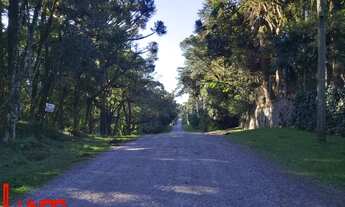 Imagem 7: Terreno na Vila Pinheiro em Ana Rech! REF: 793