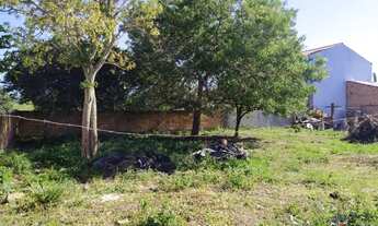 Imagem 5: Terreno para Venda em Imbituba, Campo da Aviação