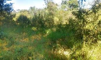 Imagem 6: Lote/Terreno para venda com 500 metros quadrados em Verava - Ibiúna - SP