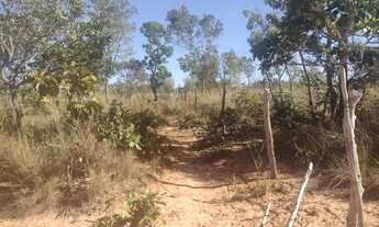 Imagem 6: Fazenda no municipio de Lizarda R$ 13 mil alqueire no Tocantins para cria e engorda de gad