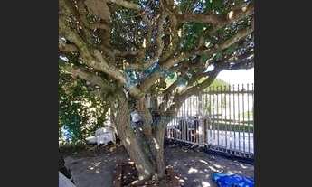 Imagem 7: Osório - Casa Padrão - Mariápolis