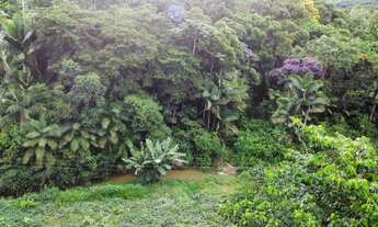 Imagem 2: Chácara à Venda em Massaranduba na Localidade do Segundo Braço