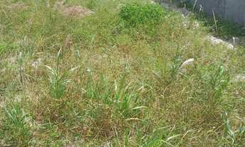 Imagem: Repasso esse terreno na fazenda real 1