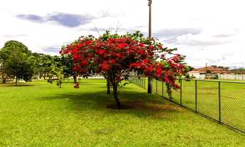 Imagem 7: EXCLUSIVO - 4 SUITES - MODERNIDADE, CONFORTO