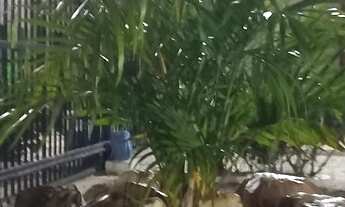 Imagem 2: Vende-se excelente apartamento na Mira mangue Planalto