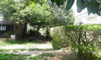 Imagem 3: Terreno para Venda - 0m², 0 dormitórios, Tristeza