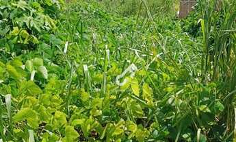 Imagem 5: ESTRADA DO COCO, Abrantes. Terreno plano em condomínio fechado com portaria 24h, são 300m²