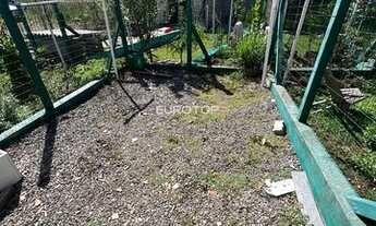 Imagem 5: Excelente sobrado com pátio!