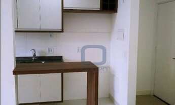 Imagem 5: Apartamento com 2 dormitórios à venda, 52 m² por R$ 290.000,00 - São Bernardo - Campinas/S