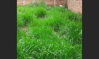 Imagem 6: Casa com 2 dormitórios à venda, 66 m² por R$ 150.000,00 - Conjunto Habitacional Nova Esper