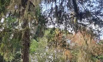 Imagem 6: CAMPO ALEGRE - (Terreno para chácara / Bateias de Baixo / Agudos