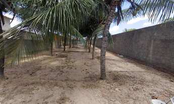 Imagem 4: Vende-se Terreno