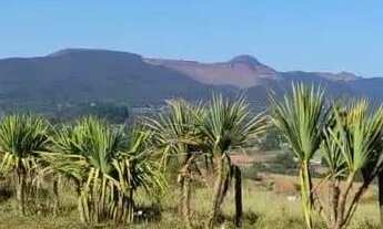 Imagem 7: Terreno com 1.000m² à Venda por Financiamento Particular no bairro Recanto do Igarapé em I