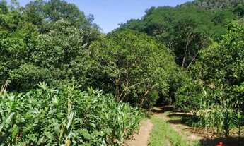 Imagem 7: Sítio / Chácara para Venda em Nova Petrópolis, Linha Temerária