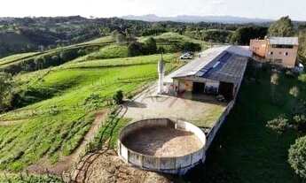 Imagem 3: Haras com 5 dormitórios à venda, 520000 m² por R$ 20.000.000 - Tabatinga - Tijucas do Sul