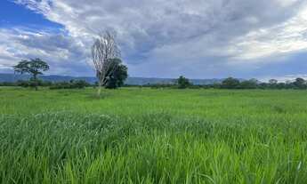 Imagem: Fazenda região de Formosa Go