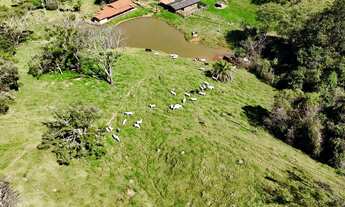 Imagem 3: Fazendinha 8 Alqueires Bela Vista