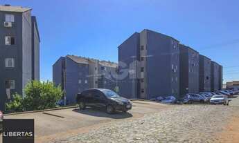 Imagem 6: Apartamento em Campo Novo