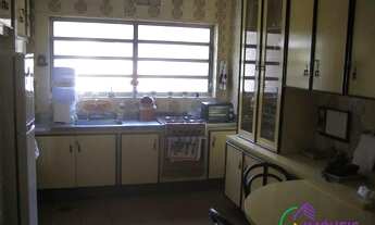 Imagem 8: COMERCIAL - JARDIM PAULISTANO - SP