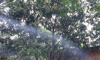 Imagem 6: Vende se mini chácara